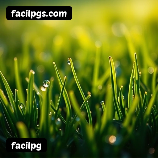 facilpg PIX instantâneo Brasil - Depósito e saque em minutos 24/7